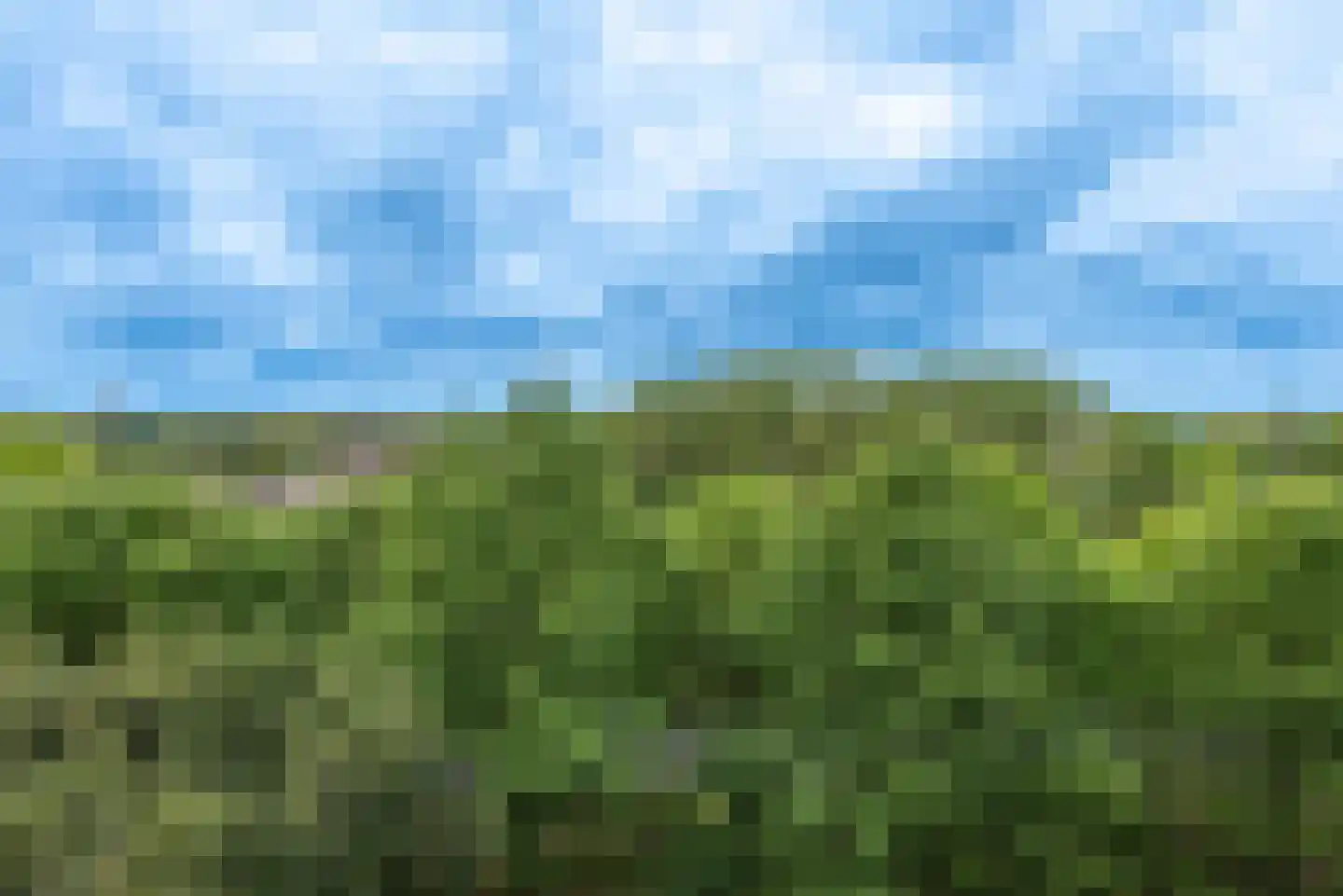 de Koppele 721 Eindhoven thumbnail 65