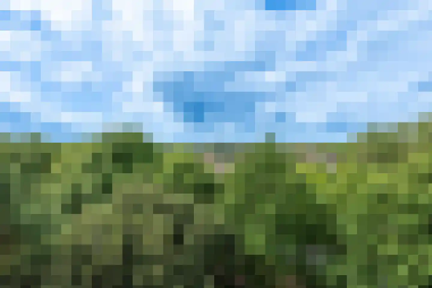 de Koppele 721 Eindhoven thumbnail 66