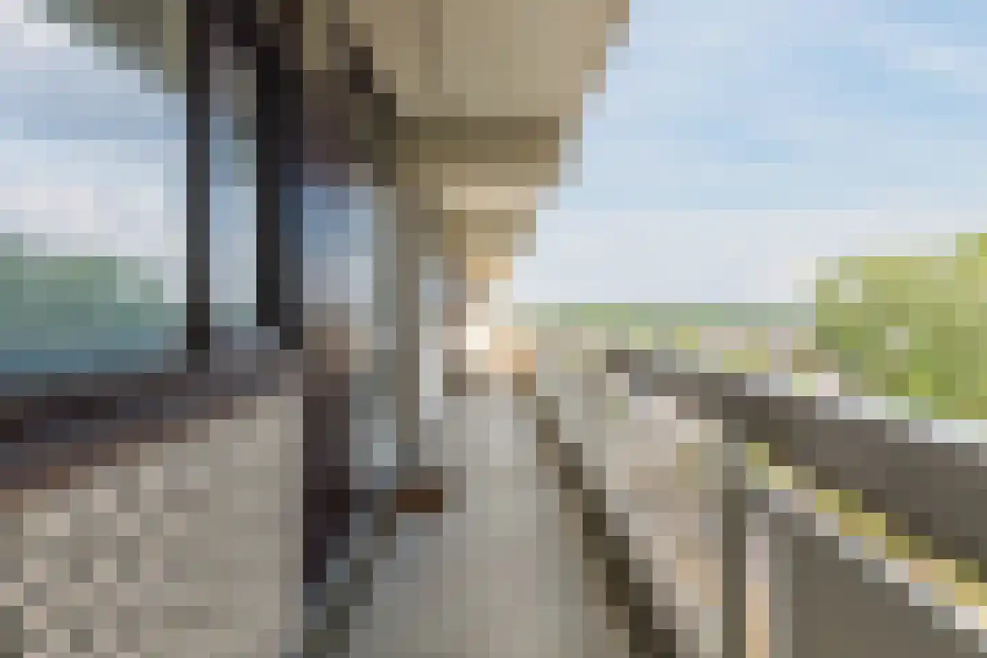 de Koppele 729 Eindhoven thumbnail 11