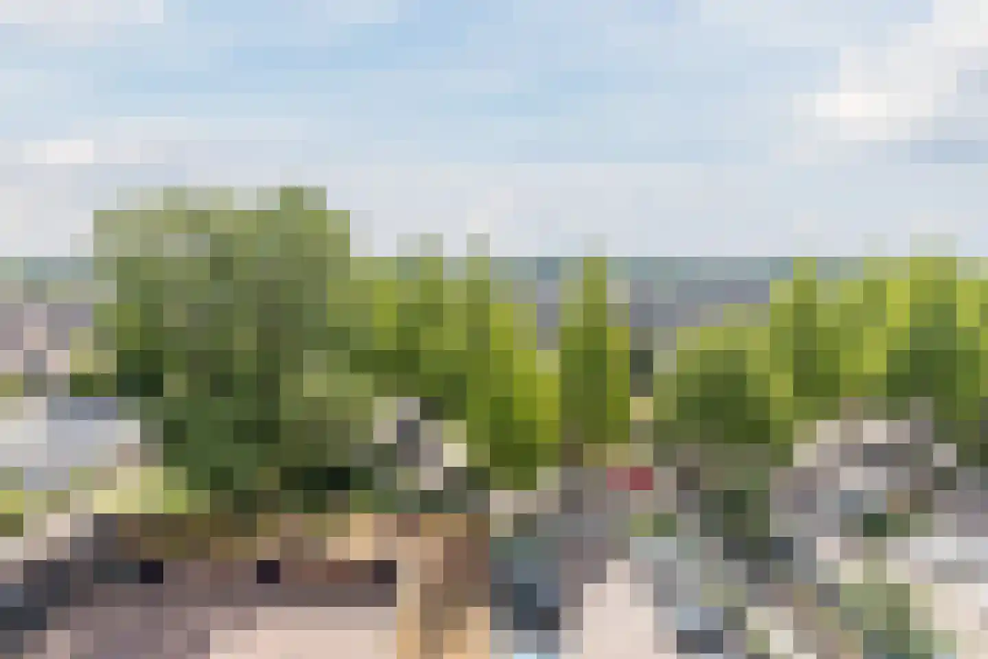 de Koppele 729 Eindhoven thumbnail 13