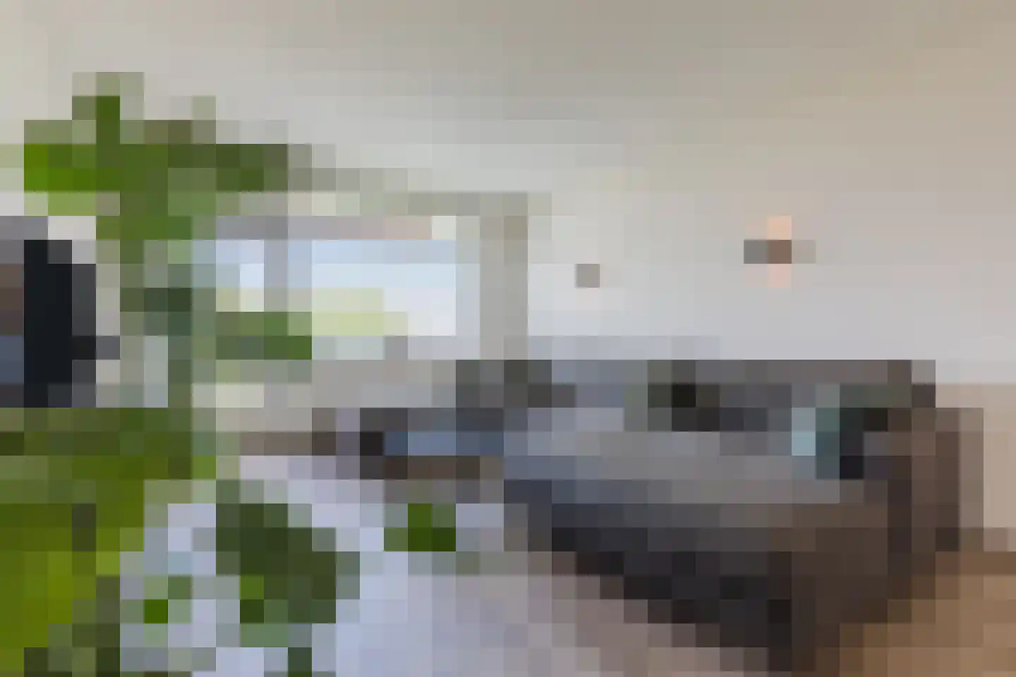 de Koppele 729 Eindhoven thumbnail 18
