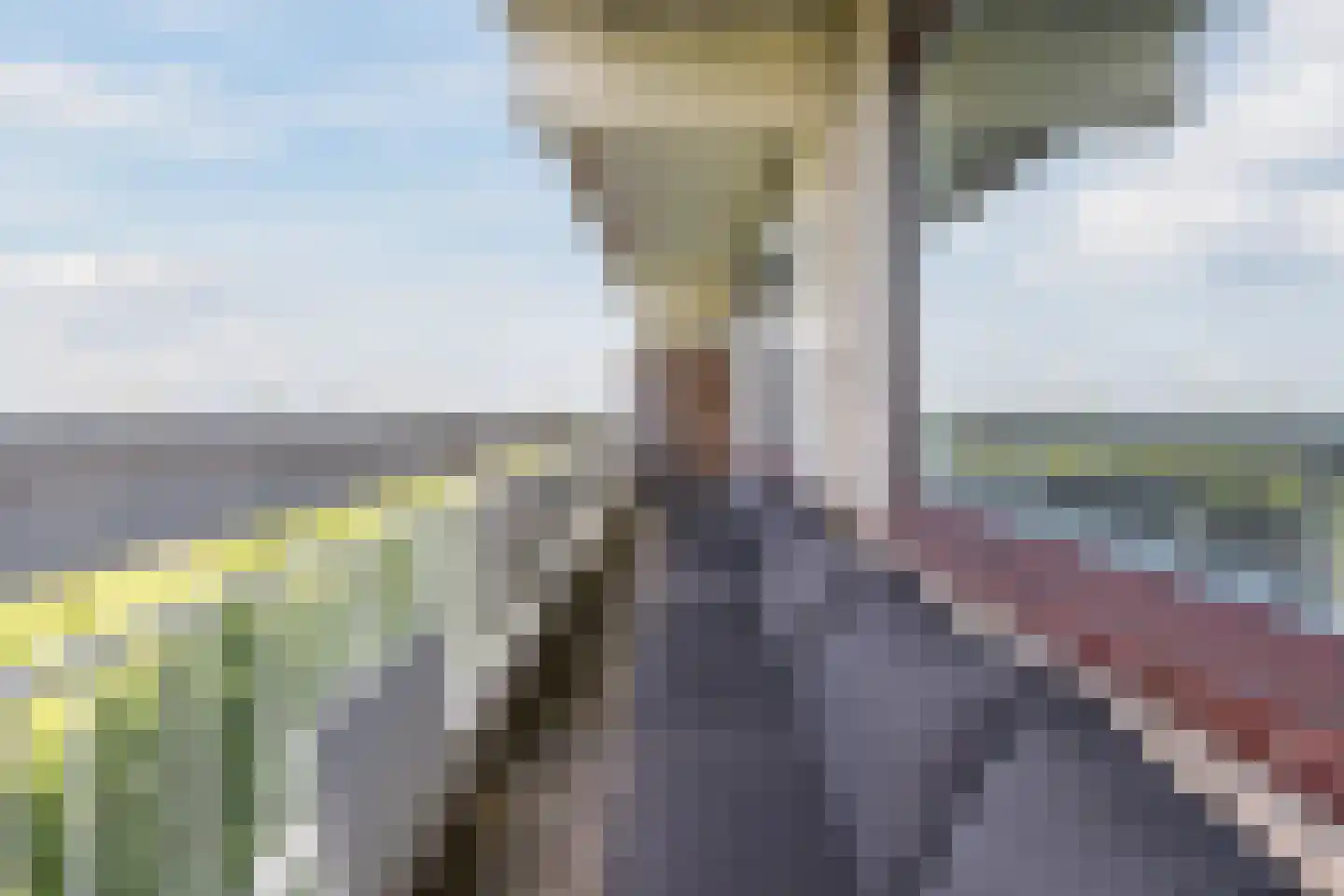de Koppele 729 Eindhoven thumbnail 42