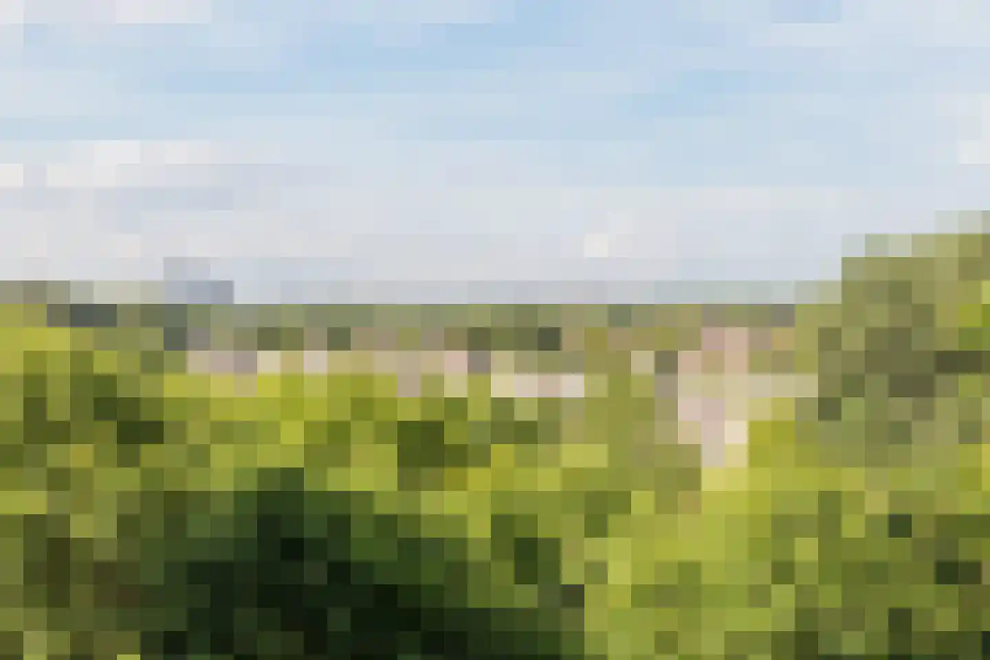 de Koppele 729 Eindhoven thumbnail 43