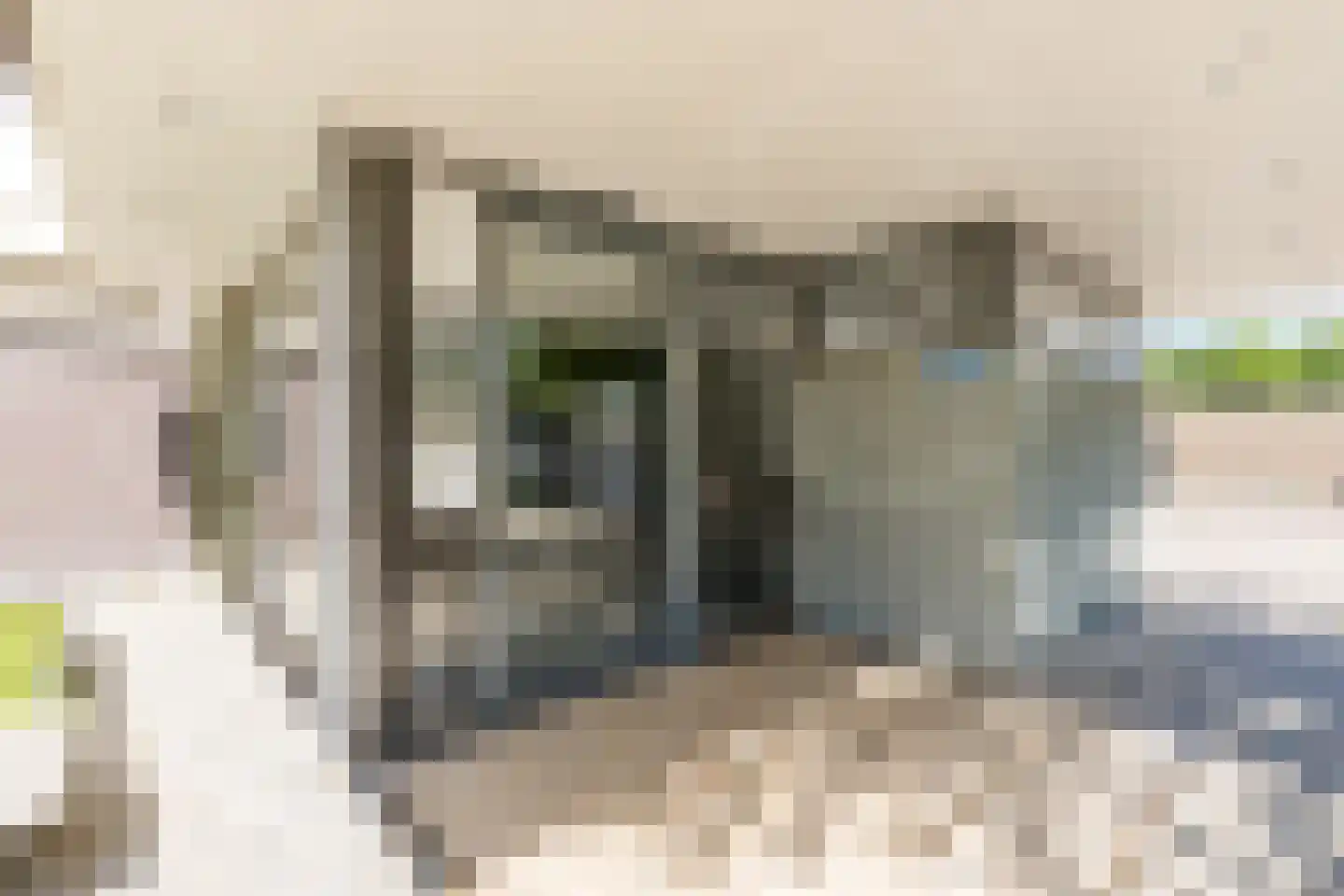de Koppele 729 Eindhoven thumbnail 6