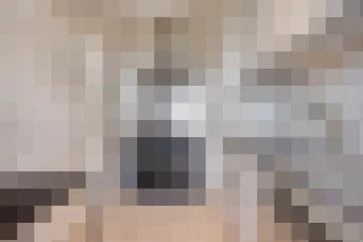 de Koppele 83 Eindhoven thumbnail 11