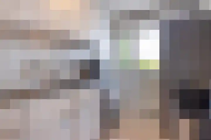 de Koppele 83 Eindhoven thumbnail 12