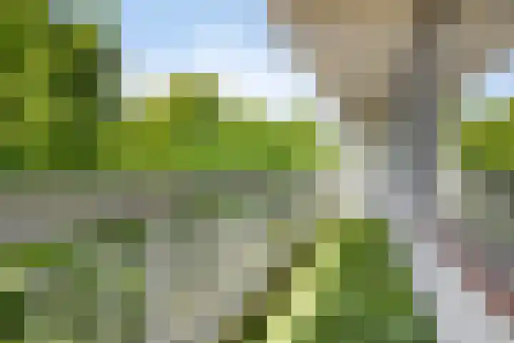 de Koppele 83 Eindhoven thumbnail 22