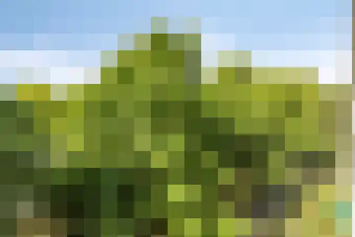 de Koppele 83 Eindhoven thumbnail 23