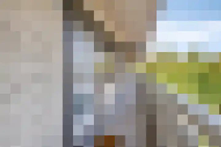 de Koppele 83 Eindhoven thumbnail 4