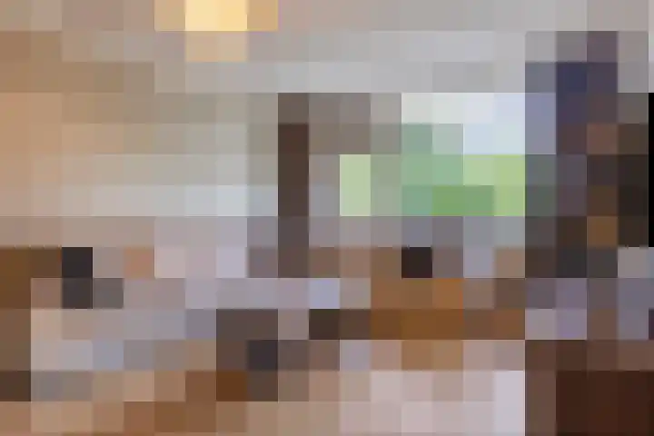 de Koppele 83 Eindhoven thumbnail 8