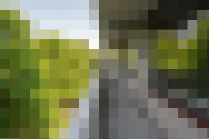de Koppele 85 Eindhoven thumbnail 20