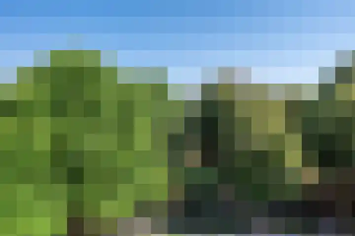 de Koppele 85 Eindhoven thumbnail 21