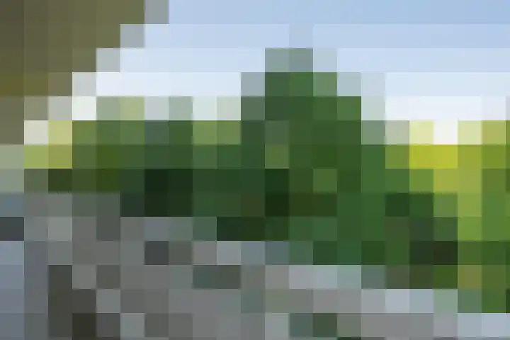 de Koppele 85 Eindhoven thumbnail 23