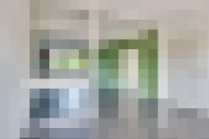 de Koppele 85 Eindhoven thumbnail 27