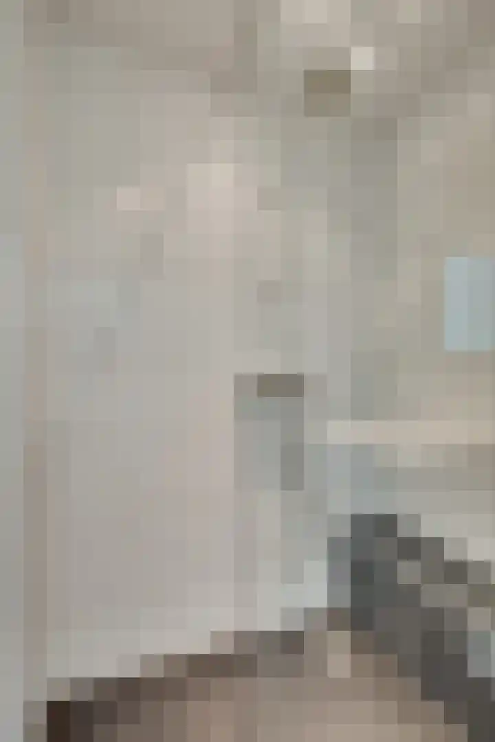 de Koppele 85 Eindhoven thumbnail 33