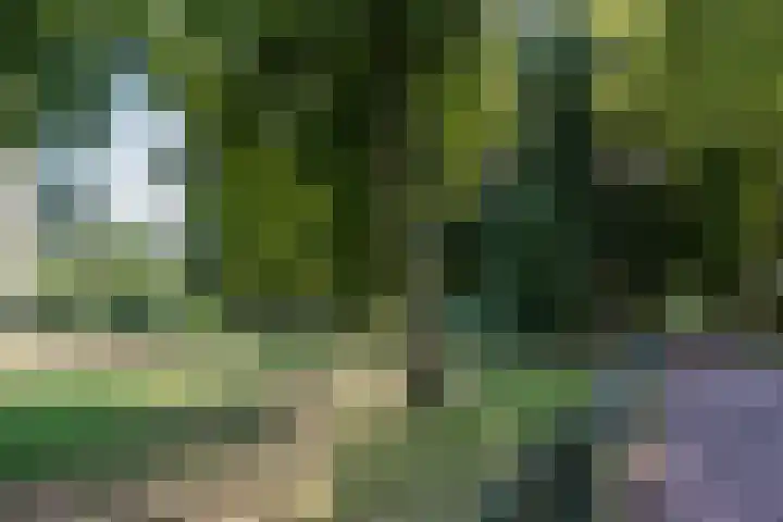de Koppele 85 Eindhoven thumbnail 45
