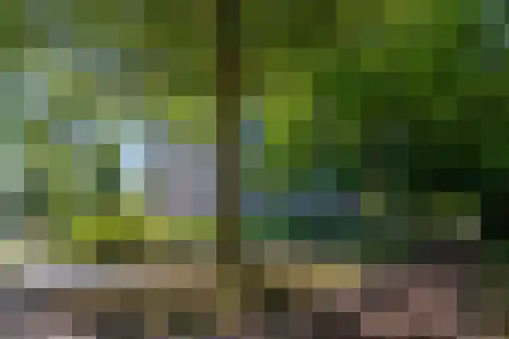 de Koppele 85 Eindhoven thumbnail 46
