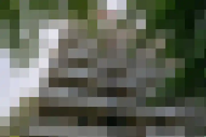 de Koppele 85 Eindhoven thumbnail 47