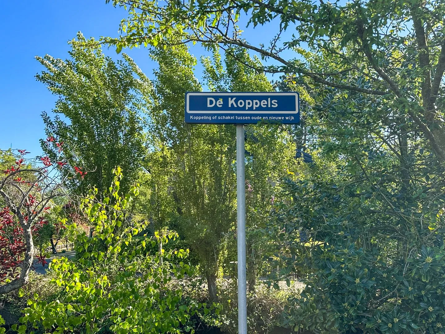 De Koppels 14 Leidschendam thumbnail 49