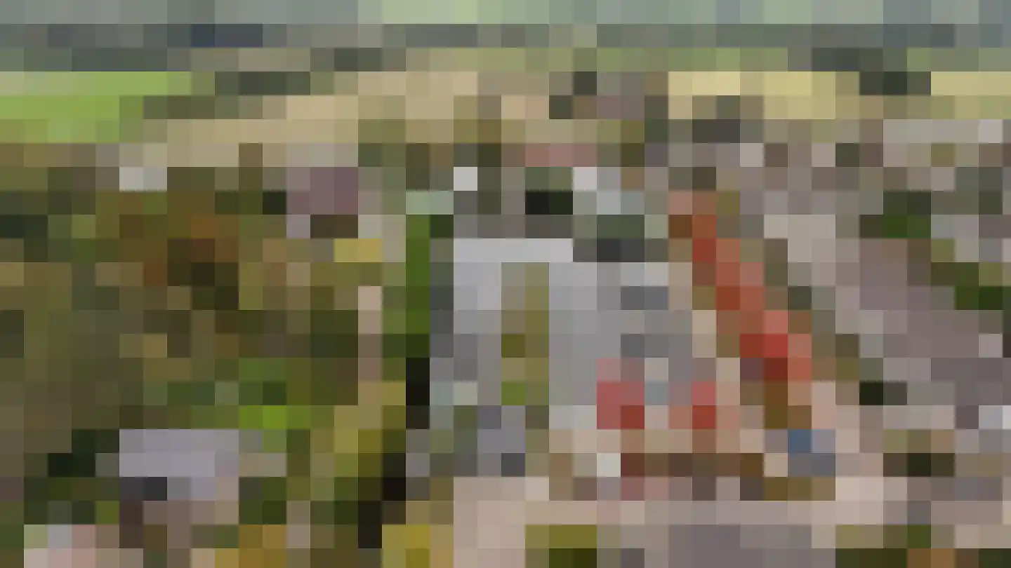 De Koppels 19 Leidschendam thumbnail 27