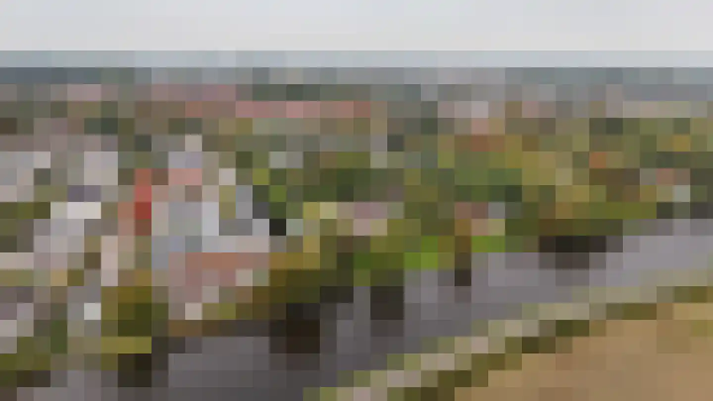 De Koppels 19 Leidschendam thumbnail 29