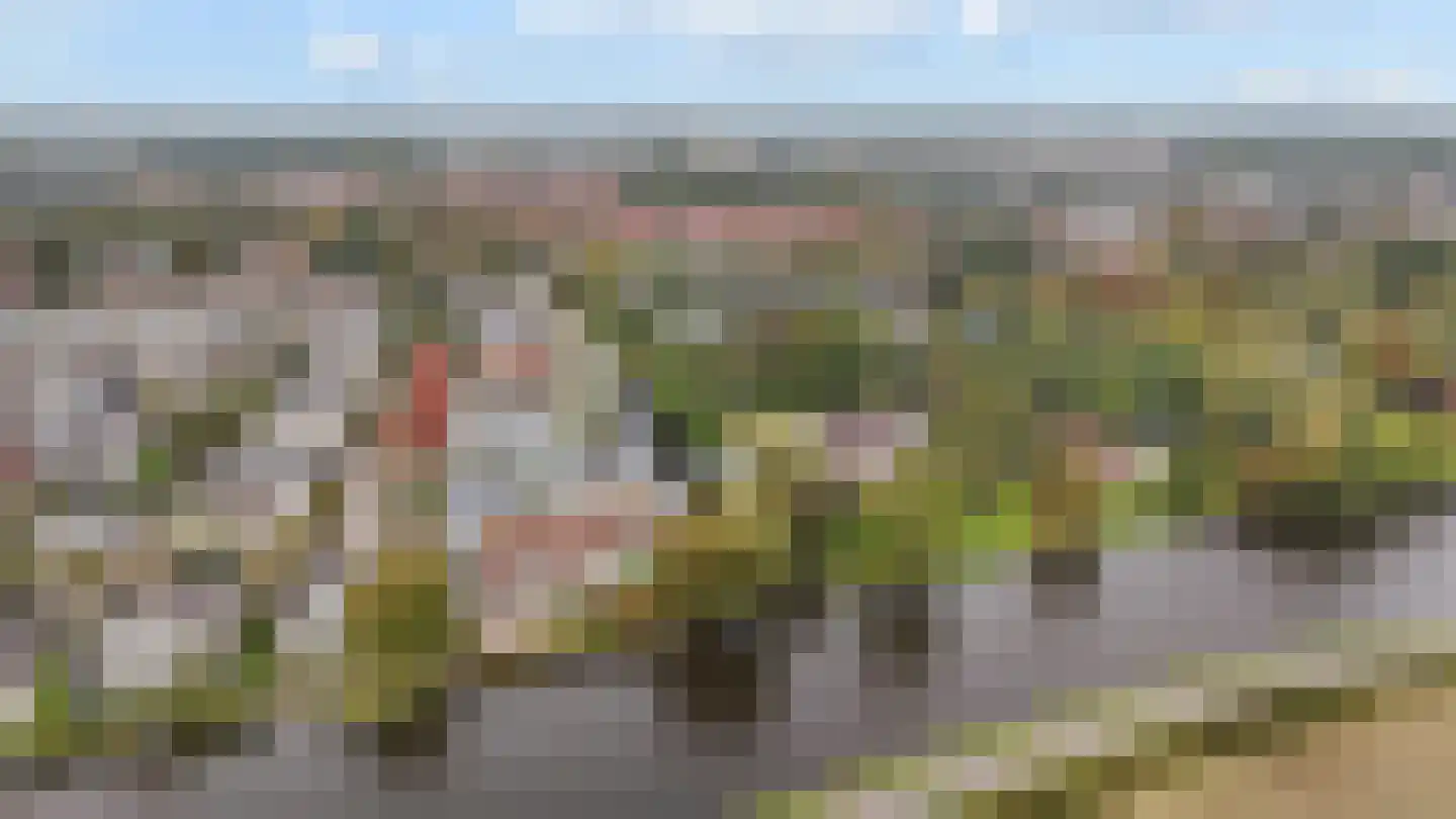 De Koppels 19 Leidschendam thumbnail 30