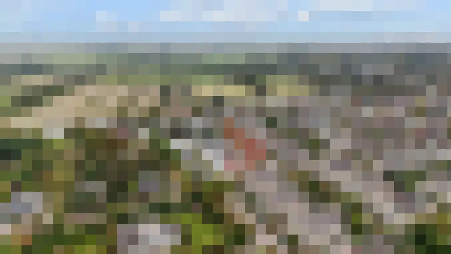 De Koppels 19 Leidschendam thumbnail 34