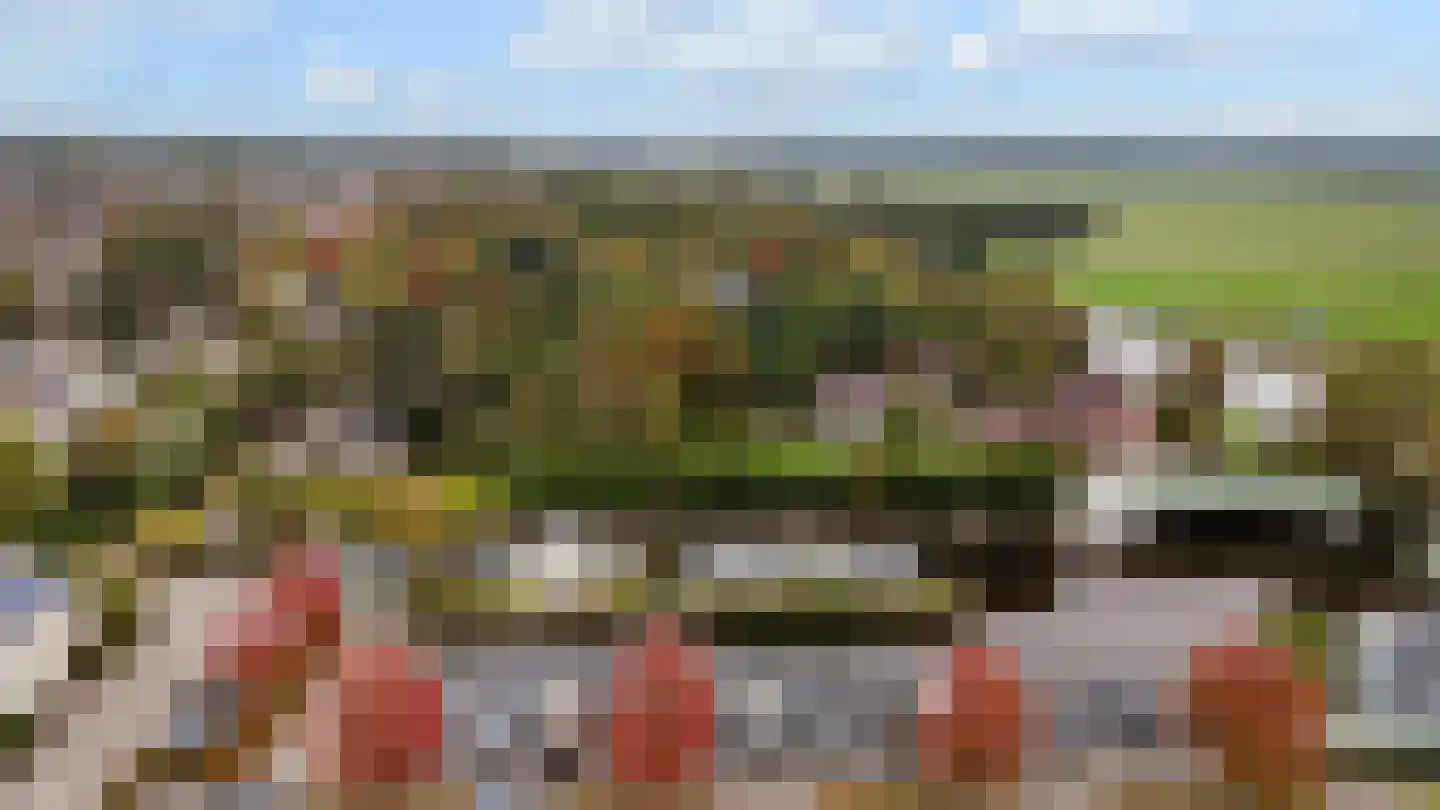 De Koppels 19 Leidschendam thumbnail 36