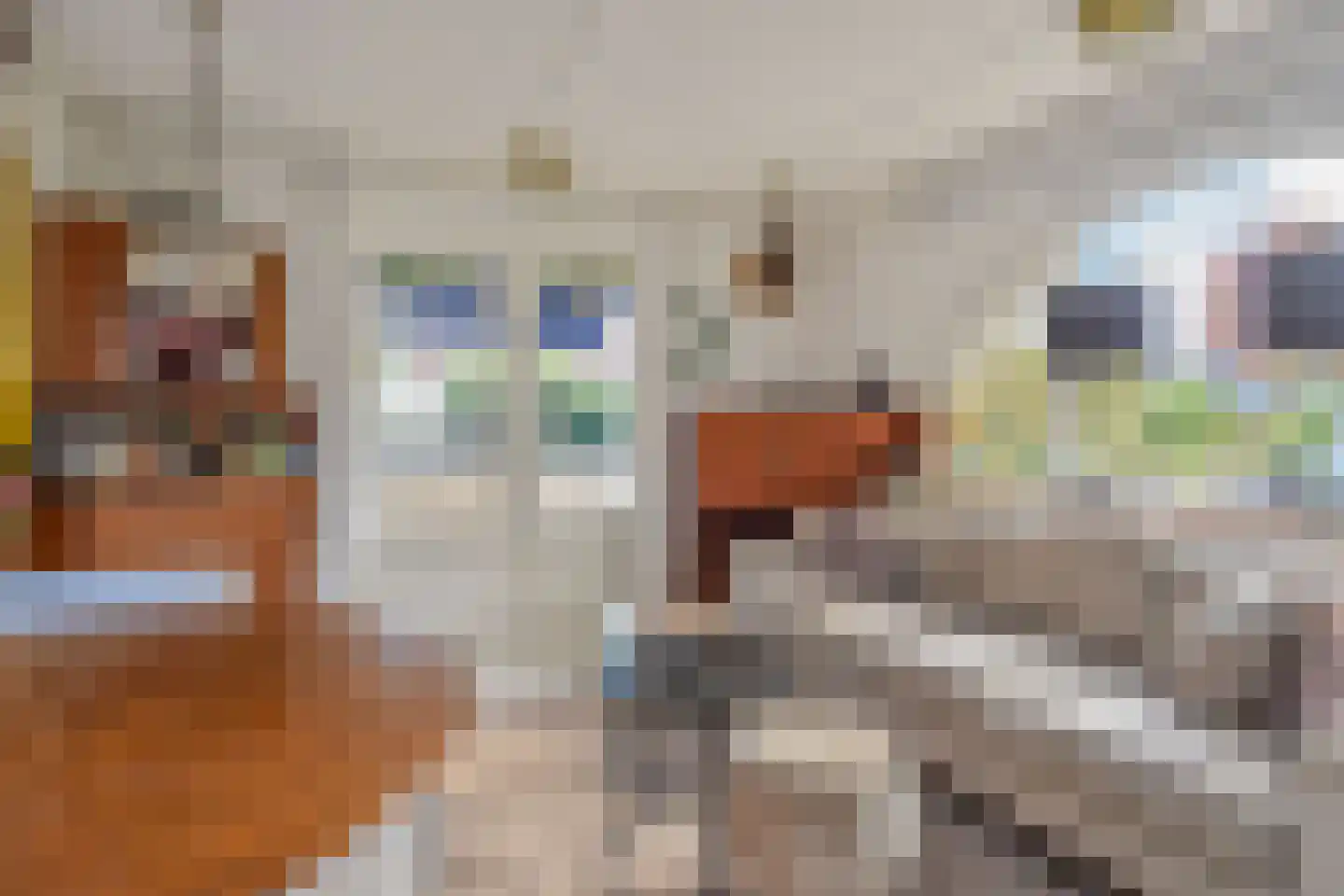 De Koppels 19 Leidschendam thumbnail 9