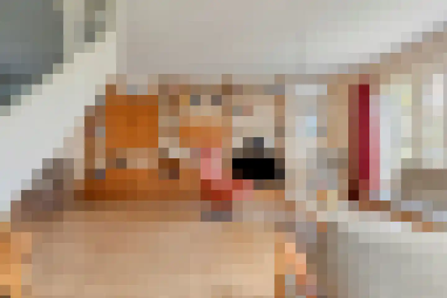 De Kor 23 Muiderberg thumbnail 19