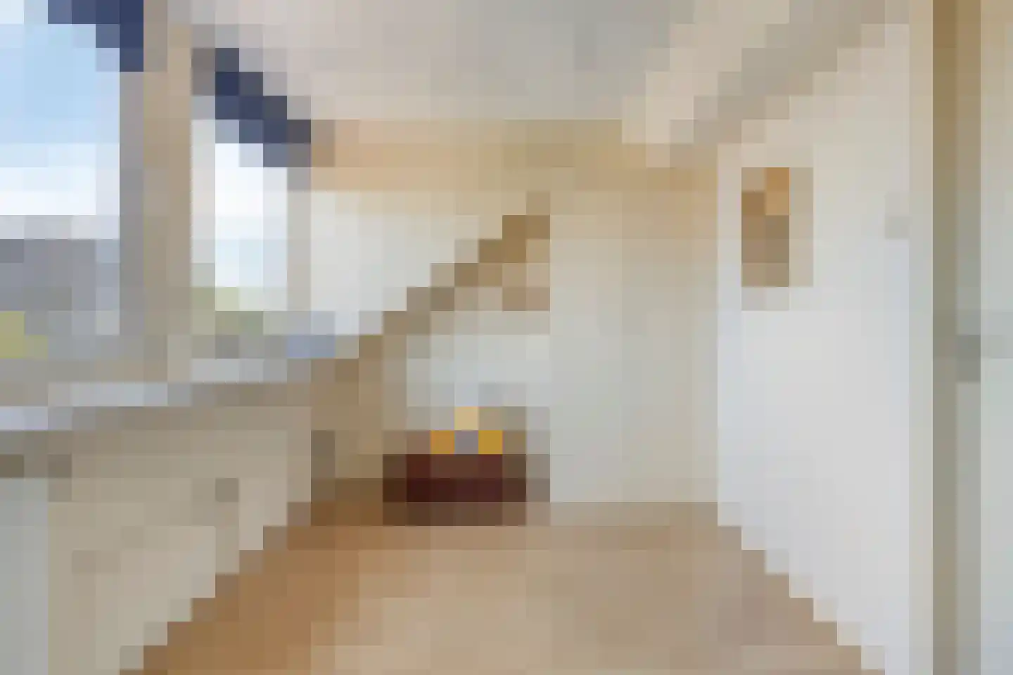 De Kor 23 Muiderberg thumbnail 29