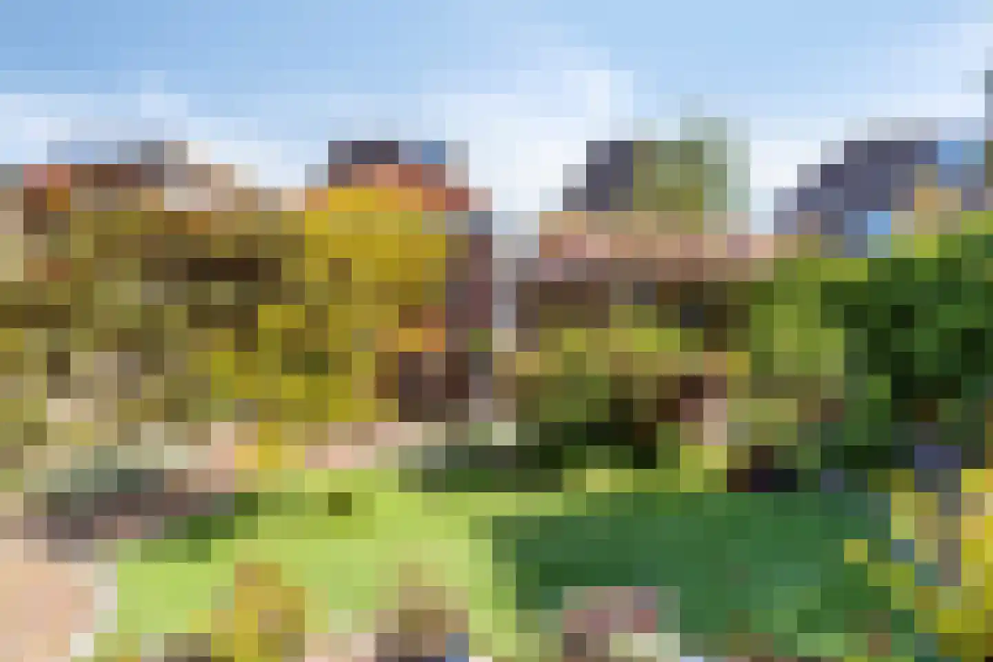De Kor 23 Muiderberg foto 3