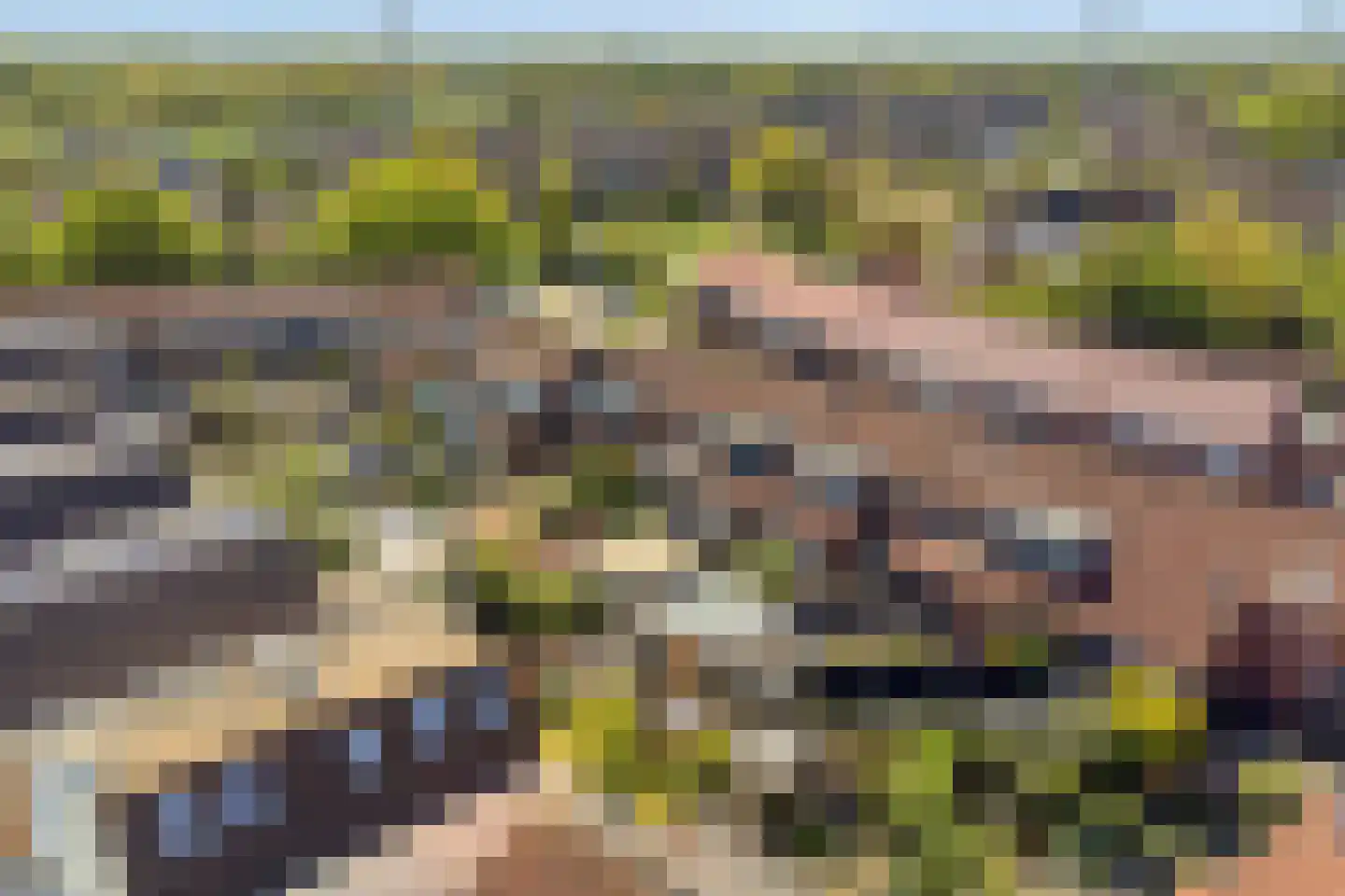 De Kor 23 Muiderberg thumbnail 50