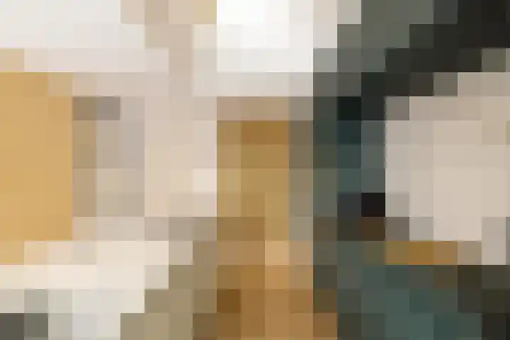 De Koraaljuffer 11 Eelderwolde thumbnail 14