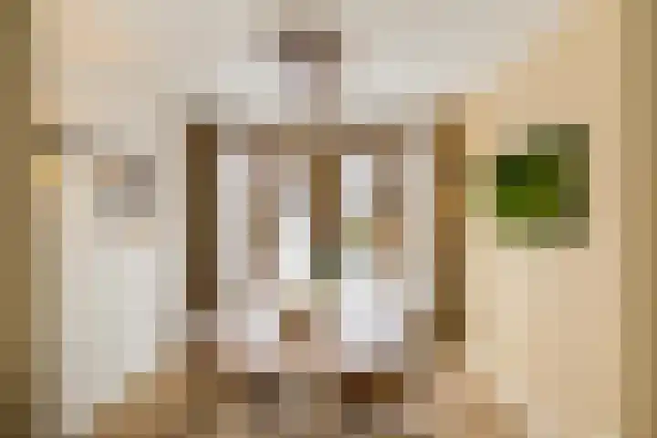 De Koraaljuffer 11 Eelderwolde thumbnail 4