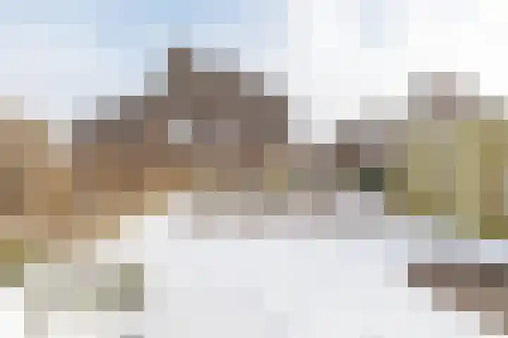 De Koraaljuffer 11 Eelderwolde thumbnail 48