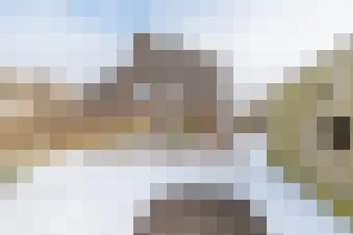 De Koraaljuffer 11 Eelderwolde thumbnail 6