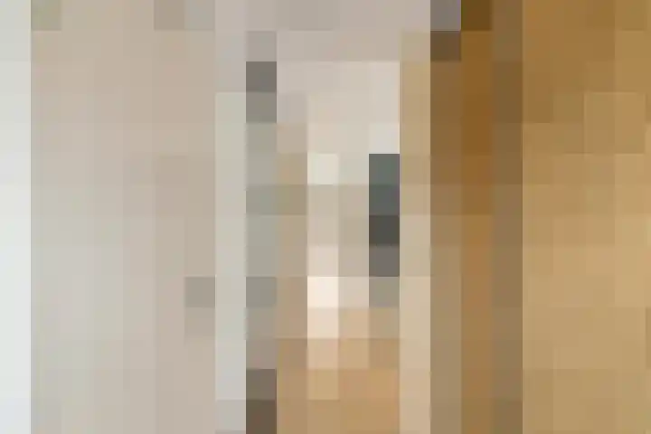 De Koraaljuffer 11 Eelderwolde thumbnail 8