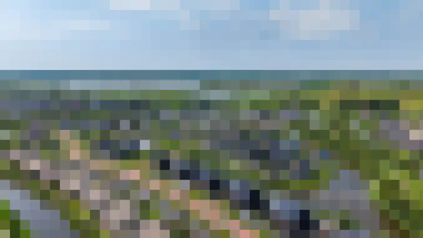 De Koraaljuffer 18 Eelderwolde thumbnail 4