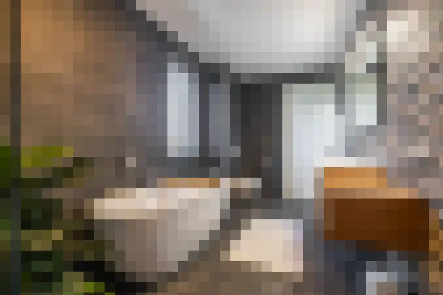 De Koraaljuffer 18 Eelderwolde thumbnail 40
