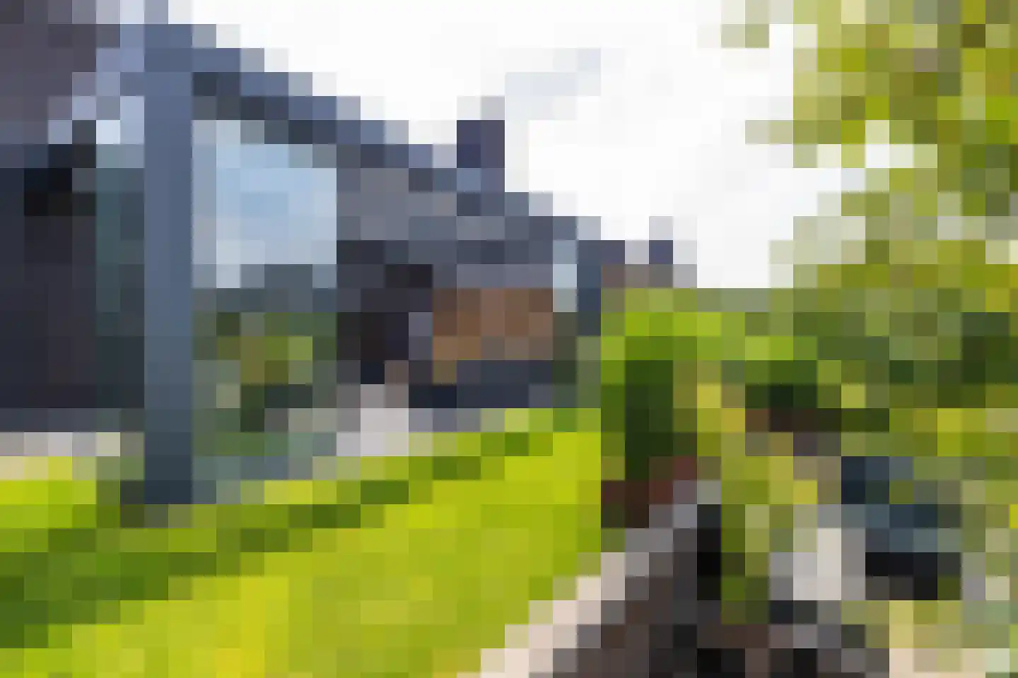 De Koraaljuffer 18 Eelderwolde thumbnail 55