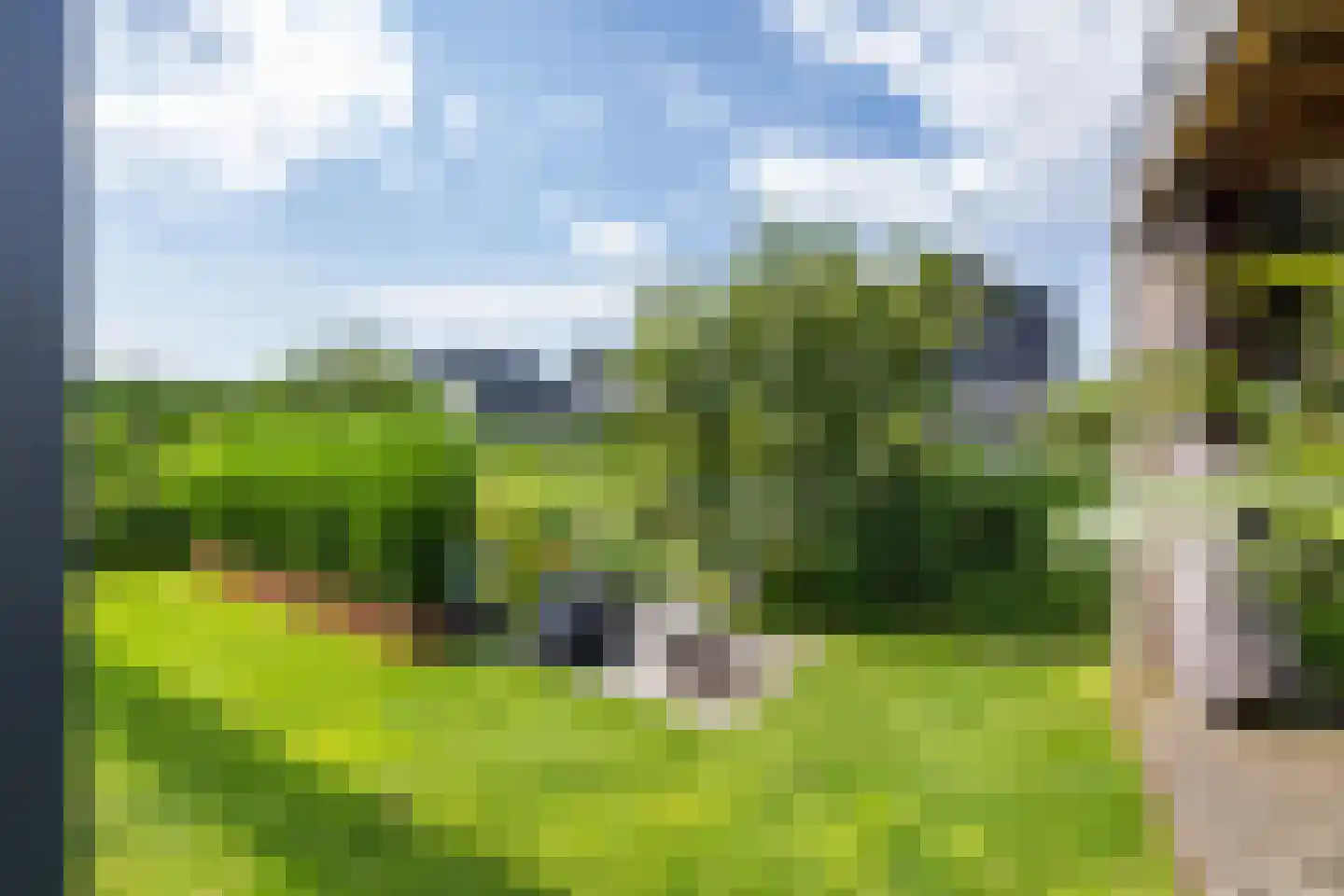 De Koraaljuffer 18 Eelderwolde thumbnail 59