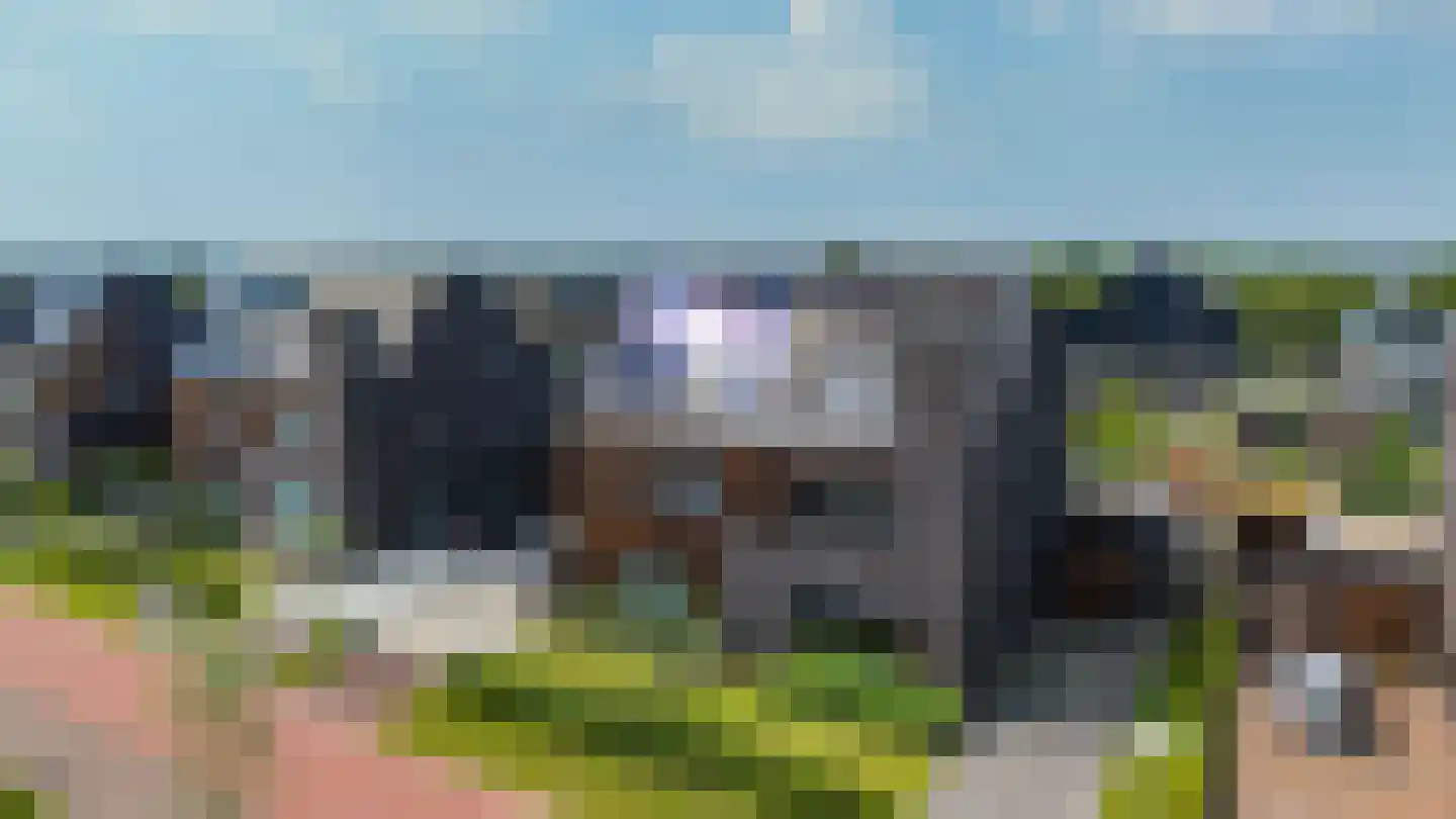 De Koraaljuffer 18 Eelderwolde thumbnail 6