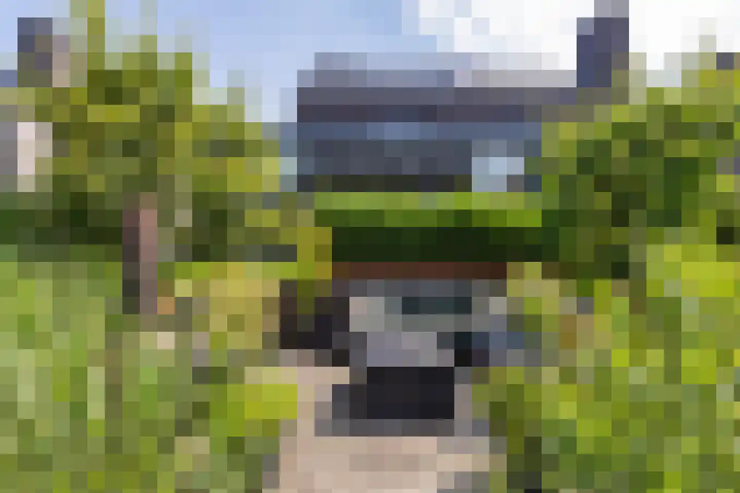 De Koraaljuffer 18 Eelderwolde thumbnail 61