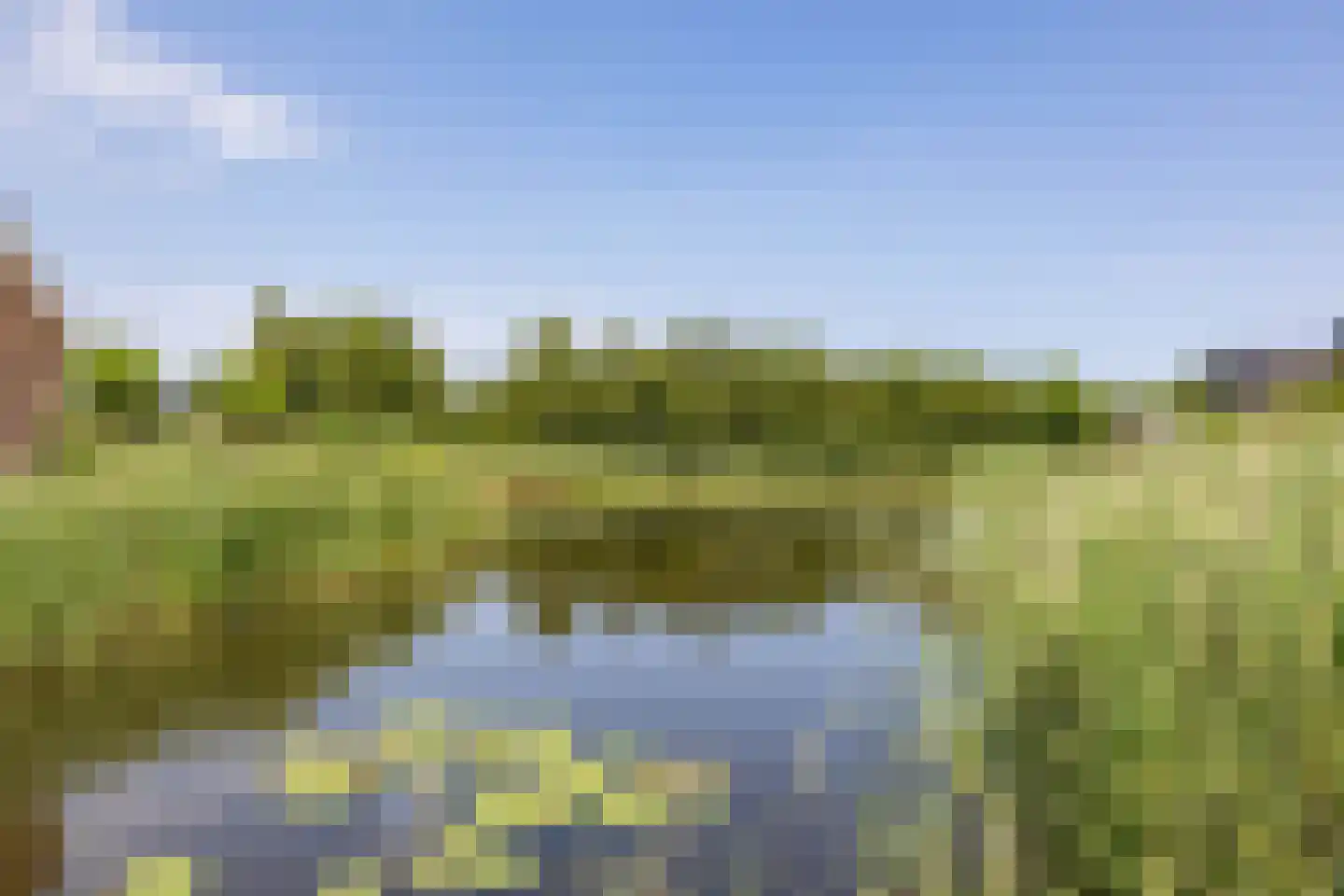 De Koraaljuffer 18 Eelderwolde thumbnail 63