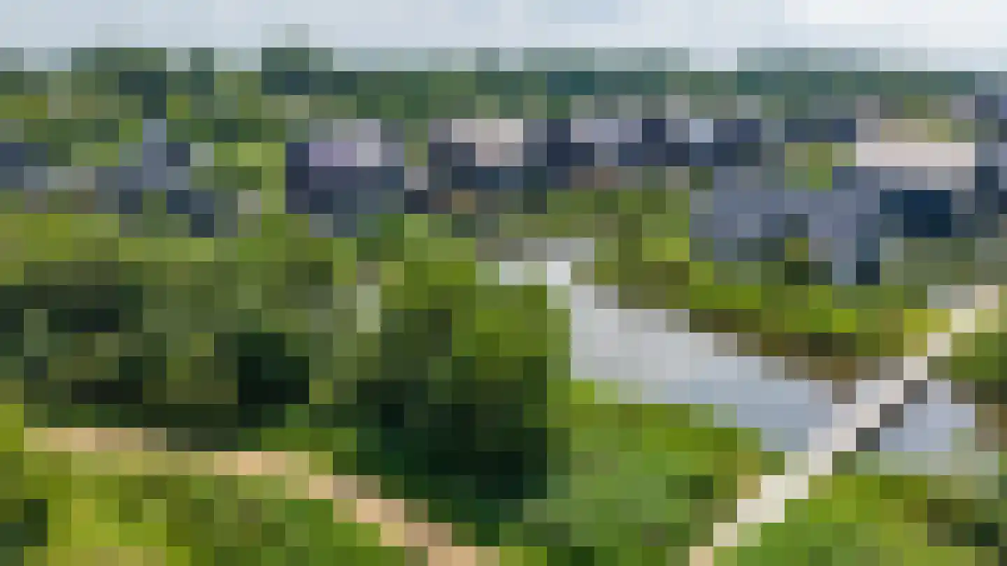 De Koraaljuffer 18 Eelderwolde thumbnail 65