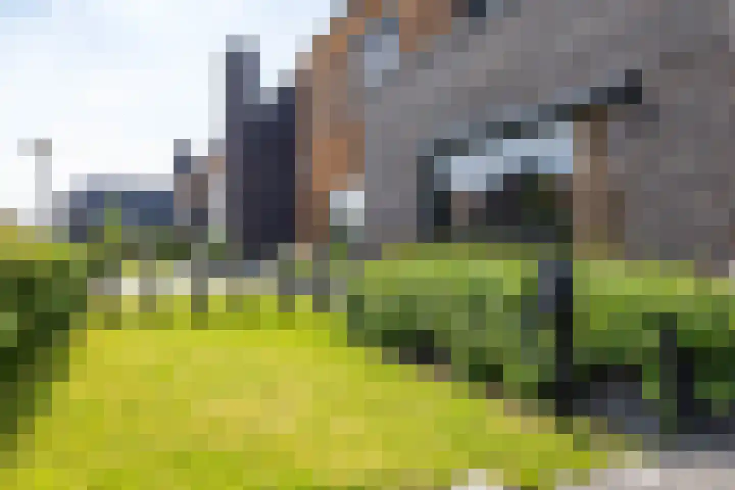 De Koraaljuffer 18 Eelderwolde thumbnail 7