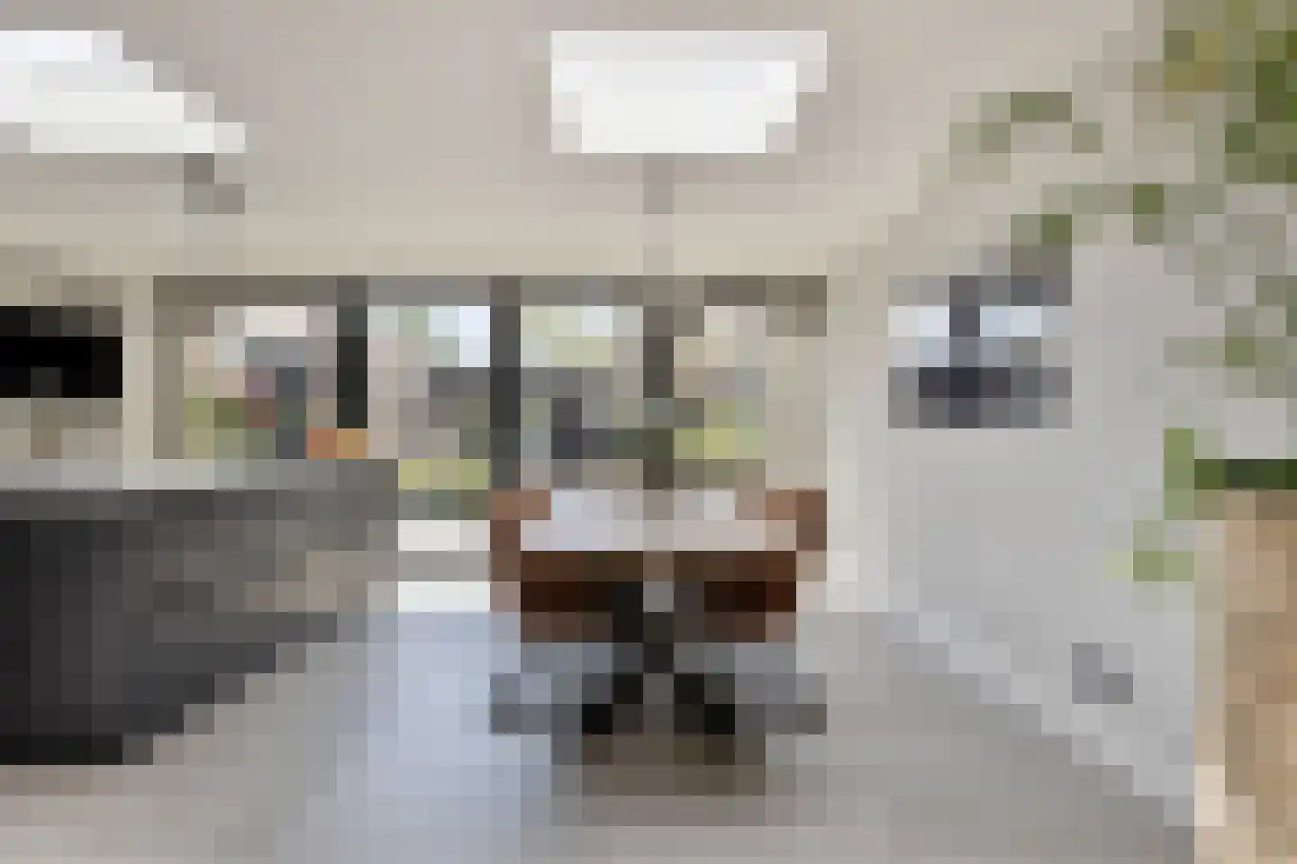 de Korenaar 15 Oirschot thumbnail 17