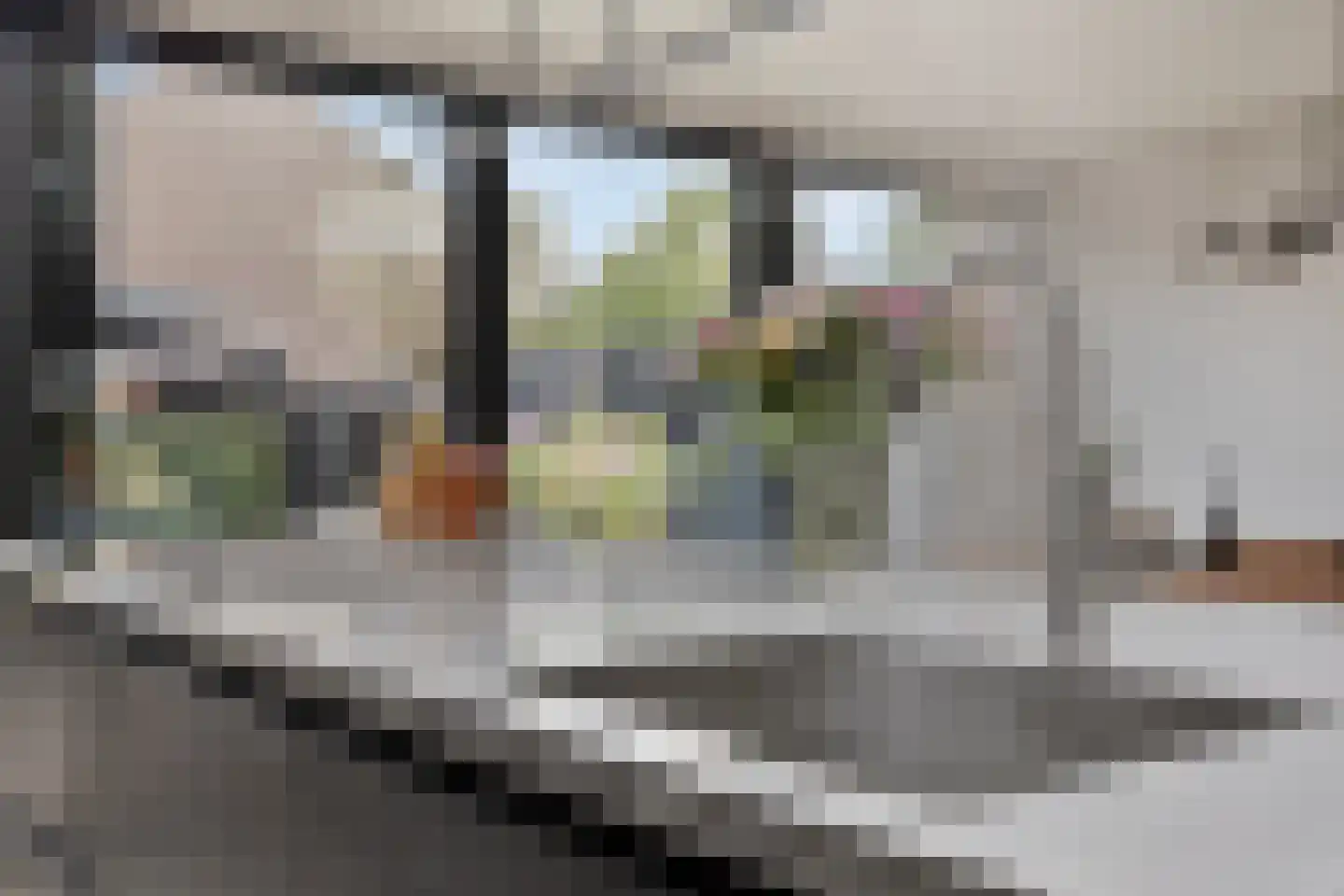 de Korenaar 15 Oirschot thumbnail 24