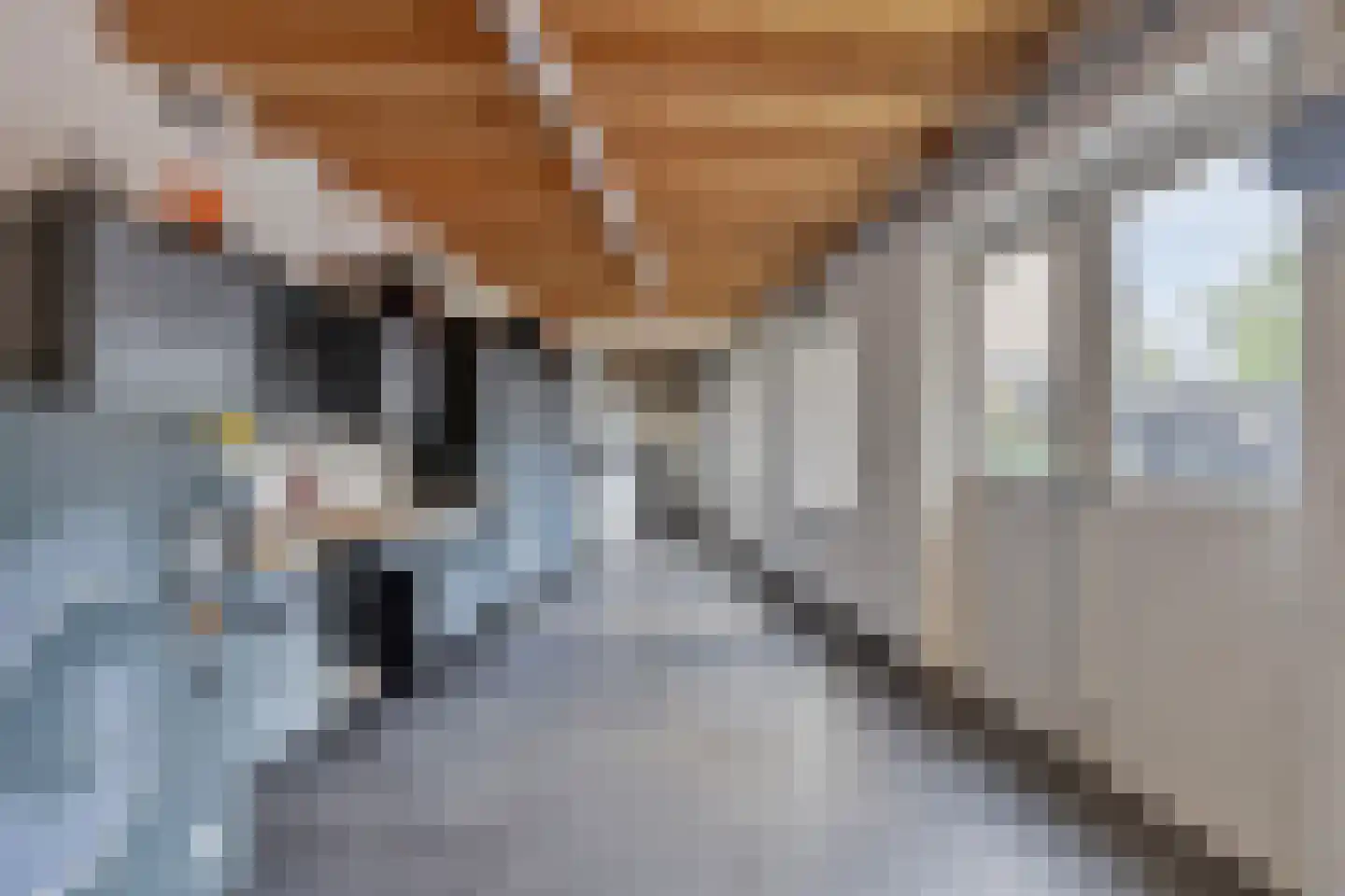 de Korenaar 15 Oirschot thumbnail 26